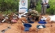 Paraguay Cocaine Lab Bust Latest Example of Criminal Migration